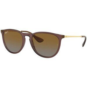 Ray-Ban Erika RB4171 6593T5 Polarized - ONE SIZE (54)