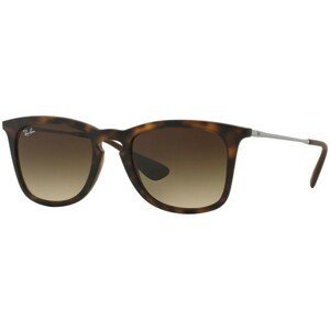 Ray-Ban RB4221 865/13 - ONE SIZE (50)