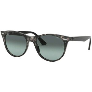 Ray-Ban Wayfarer II Evolve RB2185 1250AD - M (52)