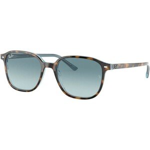 Ray-Ban Leonard RB2193 13163M - L (55)