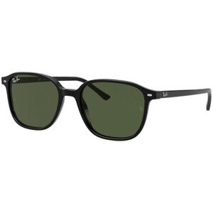 Ray-Ban Leonard RB2193 901/31 - M (51)