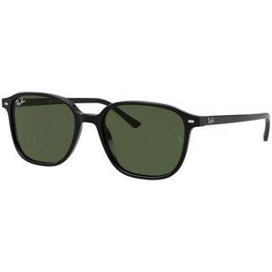 Ray-Ban Leonard RB2193 901/31 - L (53)