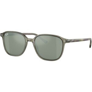 Ray-Ban Leonard RB2193 66355C - M (53)