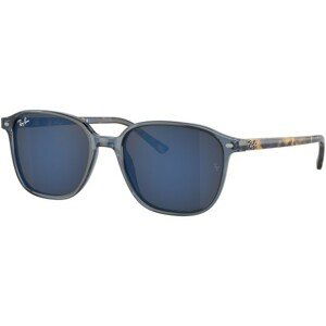 Ray-Ban Leonard RB2193 6638O4 - M (53)