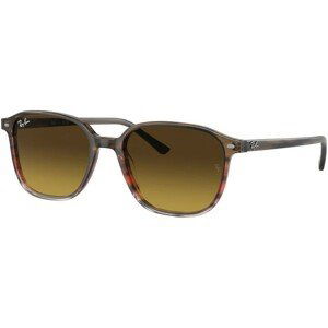 Ray-Ban Leonard RB2193 138085 - L (55)