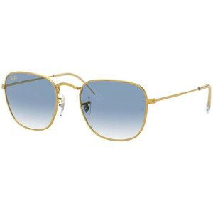 Ray-Ban Frank RB3857 91963F - M (48)