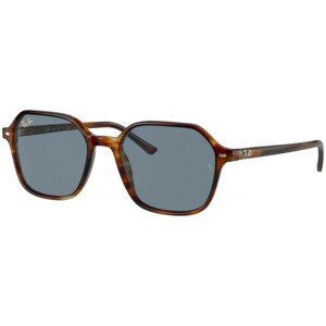 Ray-Ban John RB2194 954/62 - M (51)