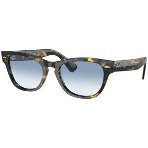 Ray-Ban Laramie RB2201 13323F - ONE SIZE (54)