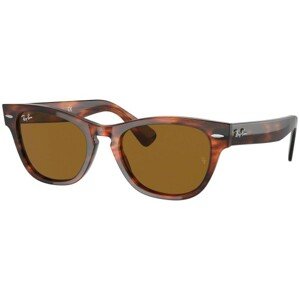 Ray-Ban Laramie RB2201 954/33 - ONE SIZE (54)