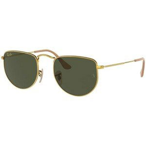 Ray-Ban Elon RB3958 919631 - L (50)