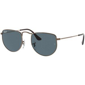 Ray-Ban Elon RB3958 9230R5 - L (50)