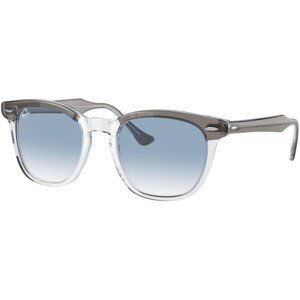 Ray-Ban Hawkeye RB2298 13553F - M (50)