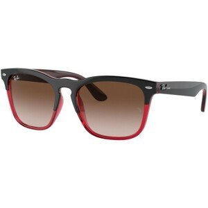 Ray-Ban Steve RB4487 663113 - ONE SIZE (54)