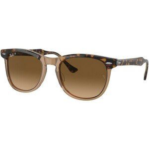 Ray-Ban Eagleeye RB2398 1292M2 - M (53)