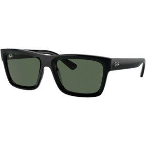 Ray-Ban Warren RB4396 667771 - L (57)