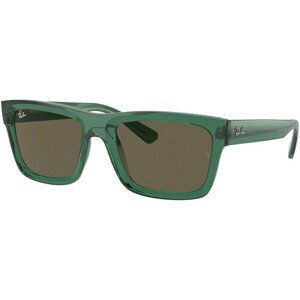 Ray-Ban Warren RB4396 6681/3 - M (54)