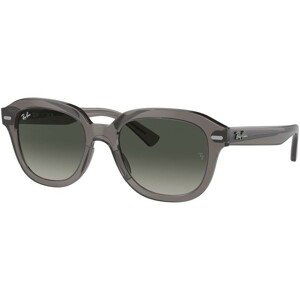 Ray-Ban Erik RB4398 667571 - M (51)