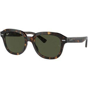 Ray-Ban Erik RB4398 902/31 - M (51)