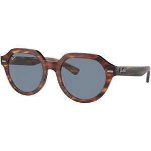 Ray-Ban Gina RB4399 954/62 - M (51)