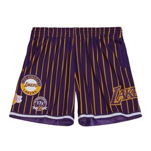 Mitchell & Ness NBA LA Lakers Hometown Mesh Shorts - Pánské - Kraťasy Mitchell & Ness - Fialové - PSHR5013-LALYYPPPPRGD - Velikost: XL