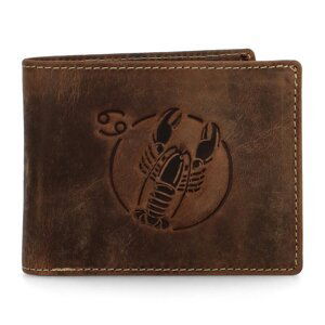 Pánská kožená peněženka hnědá - Diviley Steig Rak