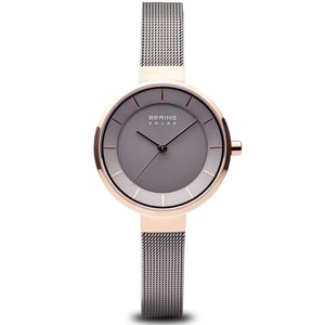 Bering Solar 14631-369