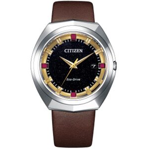 Citizen Eco-Drive 365 Limited Edition BN1010-05E