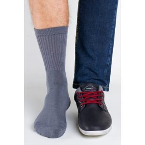 Regina Socks Polofroté Bambus Pánské ponožky 39-42 grafitová (tmavě šedá)