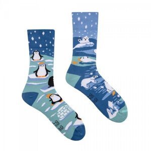 Spox Sox Penguins and Polar Bears Ponožky 40-43 vícebarevná