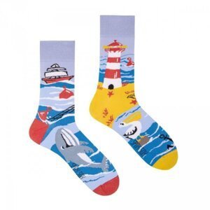 Spox Sox Sea cost Ponožky 44-46 vícebarevná