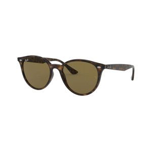 Ray-Ban RB4305 710/73