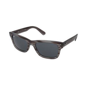 Ray-Ban Mr Burbank RB2283 1314R5