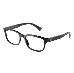 Dolce & Gabbana DG3341 501