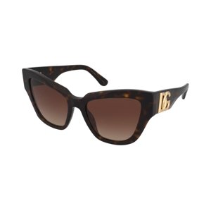 Dolce & Gabbana DG4404 502/13