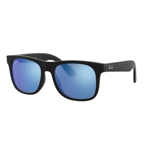 Ray-Ban RJ9069S 702855