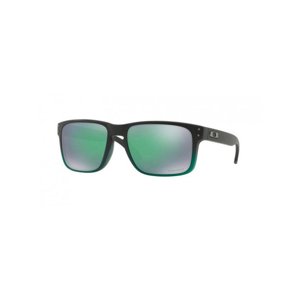 Oakley Holbrook OO9102 9102E4