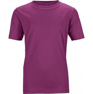 James & Nicholson Rychleschnoucí funkční dětské tričko Barva: Fialová, Velikost: XL JN358K