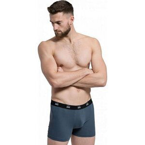 CityZen® Antibakteriální pánské boxerky Cityzen Barva: Šedá, Velikost: XL