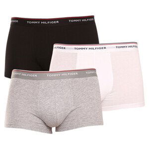 3PACK pánské boxerky Tommy Hilfiger vícebarevné (1U87903841 004) L