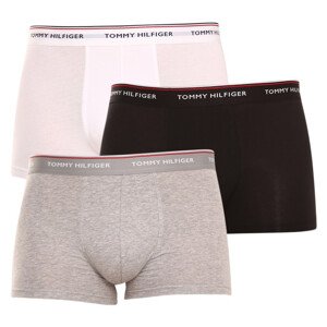 3PACK pánské boxerky Tommy Hilfiger vícebarevná (1U87903842 004) XXL