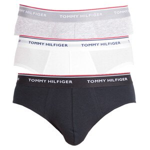 3PACK pánské slipy Tommy Hilfiger vícebarevné (1U87903766 004) L