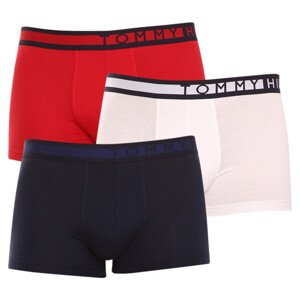 3PACK pánské boxerky Tommy Hilfiger vícebarevné (UM0UM01234 0XY) M