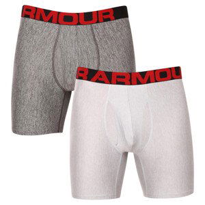 2PACK pánské boxerky Under Armour šedé (1363619 011) 4XL