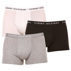 3PACK pánské boxerky Tommy Hilfiger vícebarevné (UM0UM02203 0XK) XXL