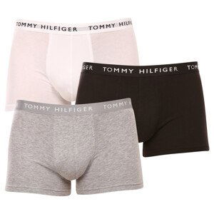 3PACK pánské boxerky Tommy Hilfiger vícebarevné (UM0UM02203 0XK) S