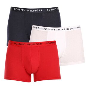 3PACK pánské boxerky Tommy Hilfiger vícebarevné (UM0UM02203 0WS) M