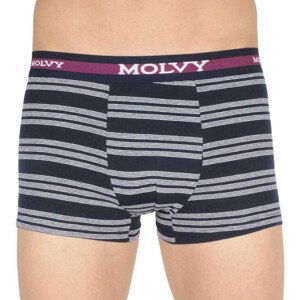 Pánské boxerky Molvy vícebarevné (MP-1031-BEU) L