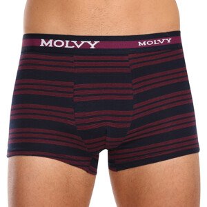 Pánské boxerky Molvy vícebarevné (MP-1032-BEU) L