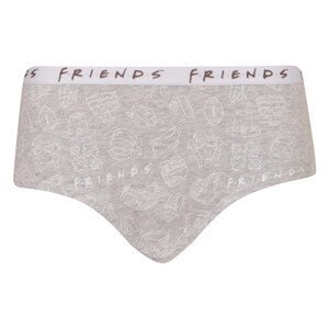Dívčí kalhotky E plus M Friends šedé (FRNDS-B) 122