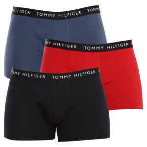 3PACK pánské boxerky Tommy Hilfiger vícebarevné (UM0UM02203 0V4) XL